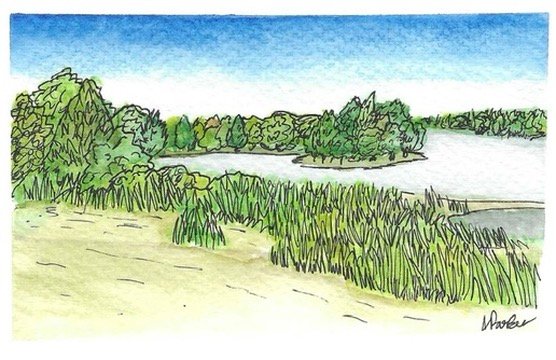 Restoule provincial park beach in watercolour and pen. grass and trees aline the edge of a lake on the right, outline in black pen. while the sand sits empty seperated from the water by the grass in the foreground.